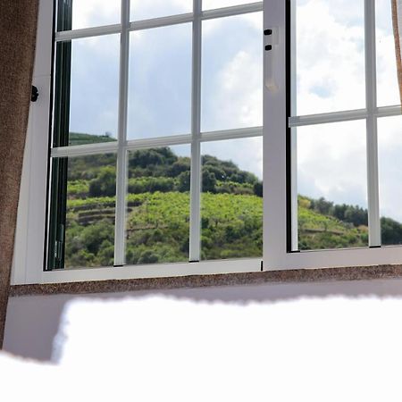 Ervedosa do Douro Quinta Do Monte Bravo - Douro - Quarto Duploヴィラ エクステリア 写真