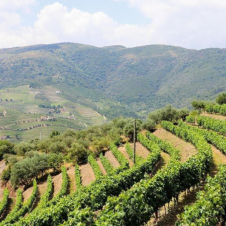 Ervedosa do Douro Quinta Do Monte Bravo - Douro - Quarto Duploヴィラ エクステリア 写真