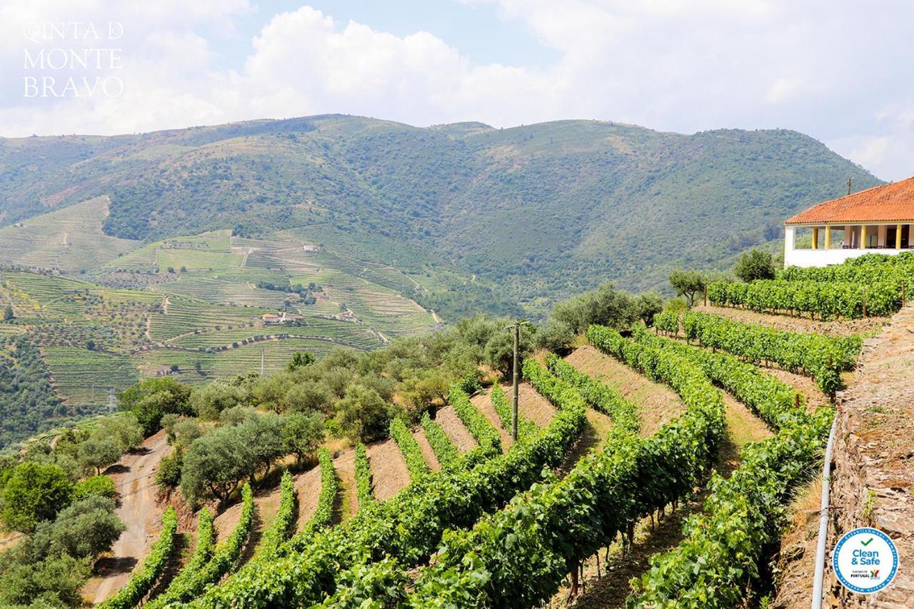 Ervedosa do Douro Quinta Do Monte Bravo - Douro - Quarto Duploヴィラ エクステリア 写真