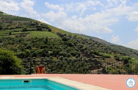 Ervedosa do Douro Quinta Do Monte Bravo - Douro - Quarto Duploヴィラ エクステリア 写真