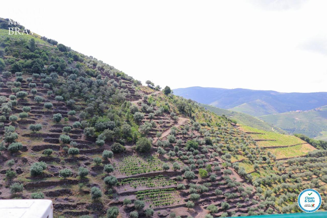 Ervedosa do Douro Quinta Do Monte Bravo - Douro - Quarto Duploヴィラ エクステリア 写真