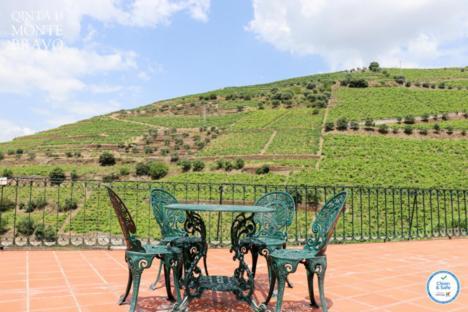 Ervedosa do Douro Quinta Do Monte Bravo - Douro - Quarto Duploヴィラ エクステリア 写真