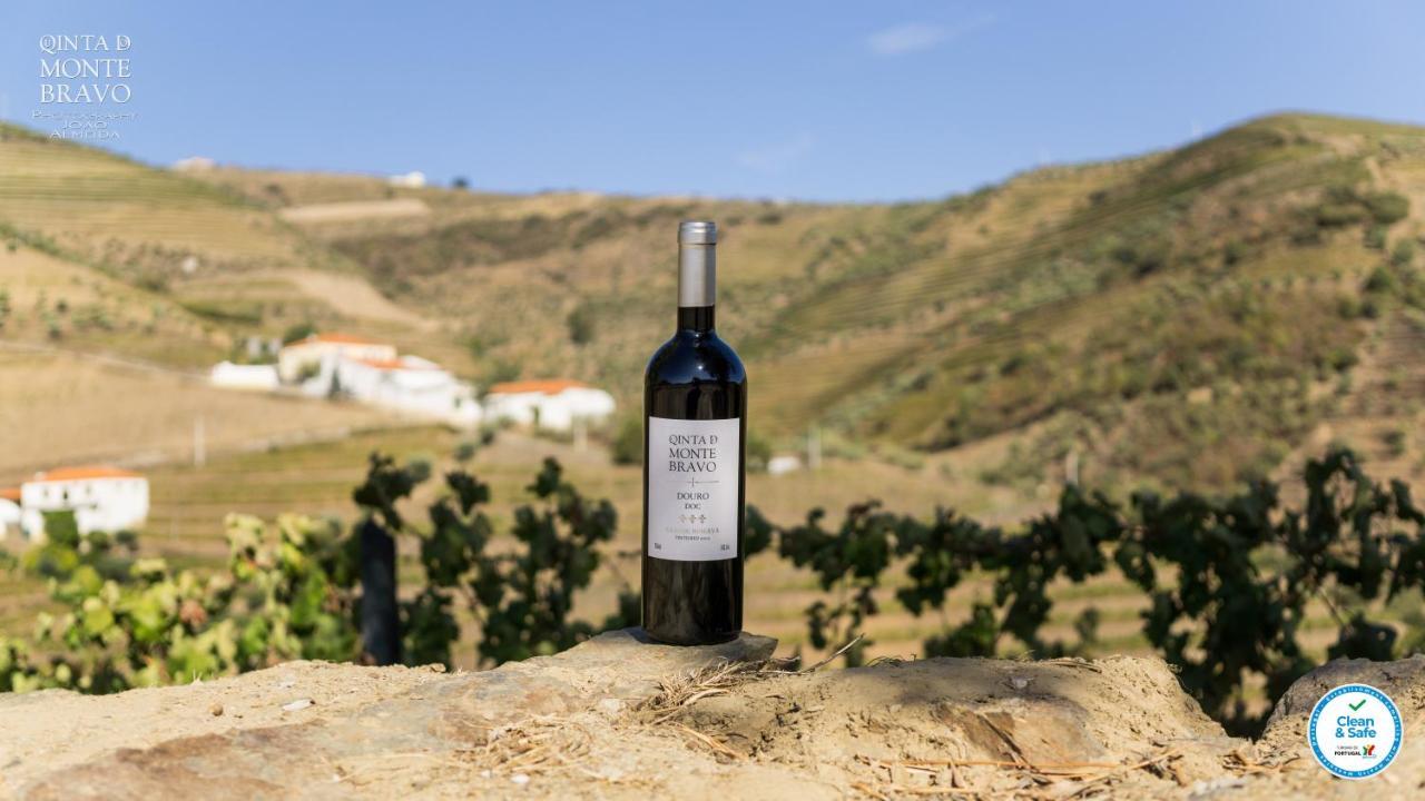 Ervedosa do Douro Quinta Do Monte Bravo - Douro - Quarto Duploヴィラ エクステリア 写真