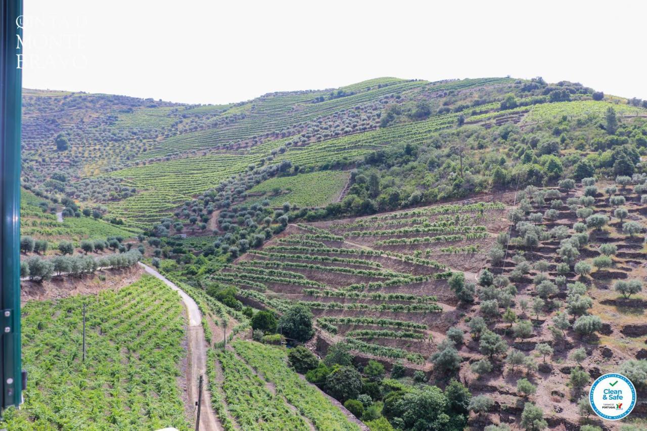 Ervedosa do Douro Quinta Do Monte Bravo - Douro - Quarto Duploヴィラ エクステリア 写真